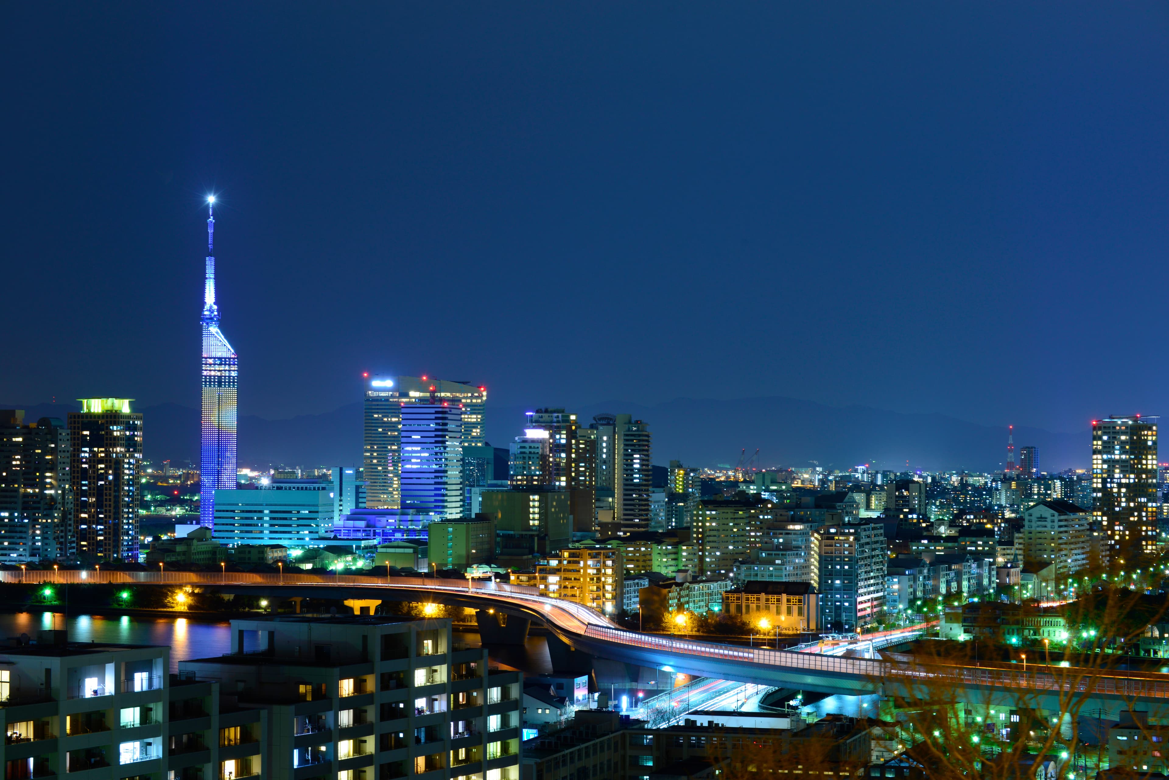 AdobeStock 266864635